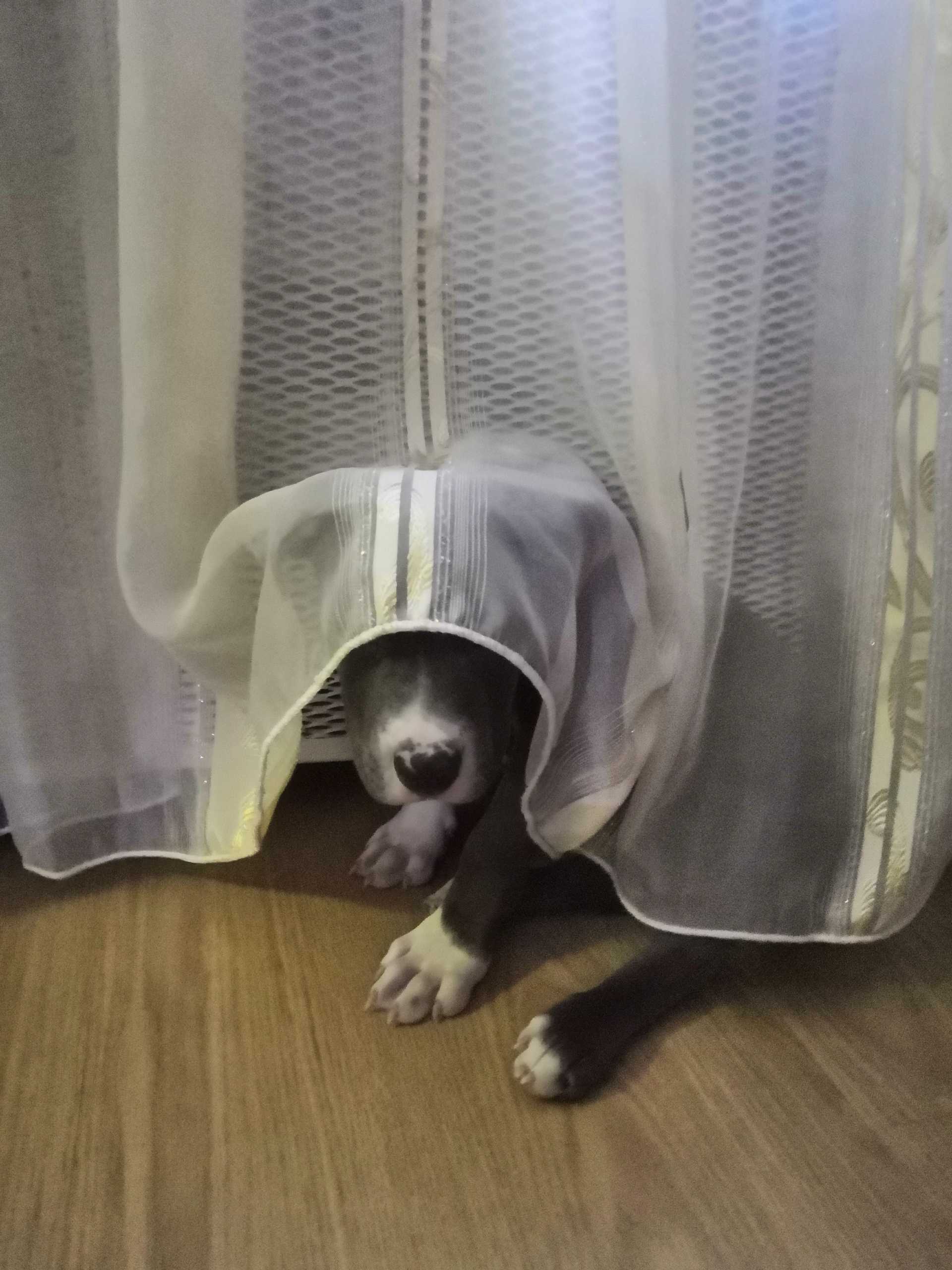 А вдруг не заметят
