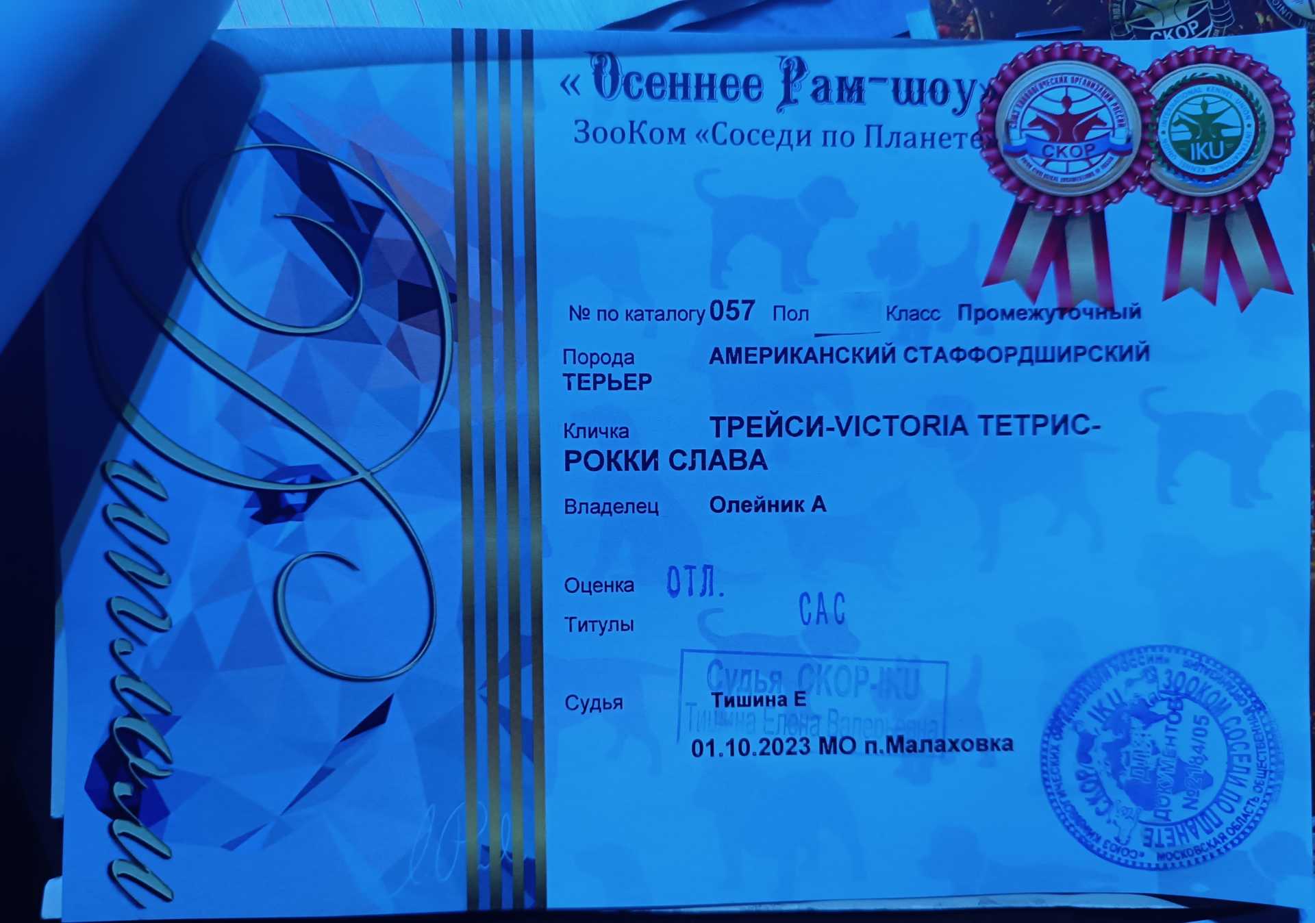 Выставка СКОР в Малаховка, 2 ринг