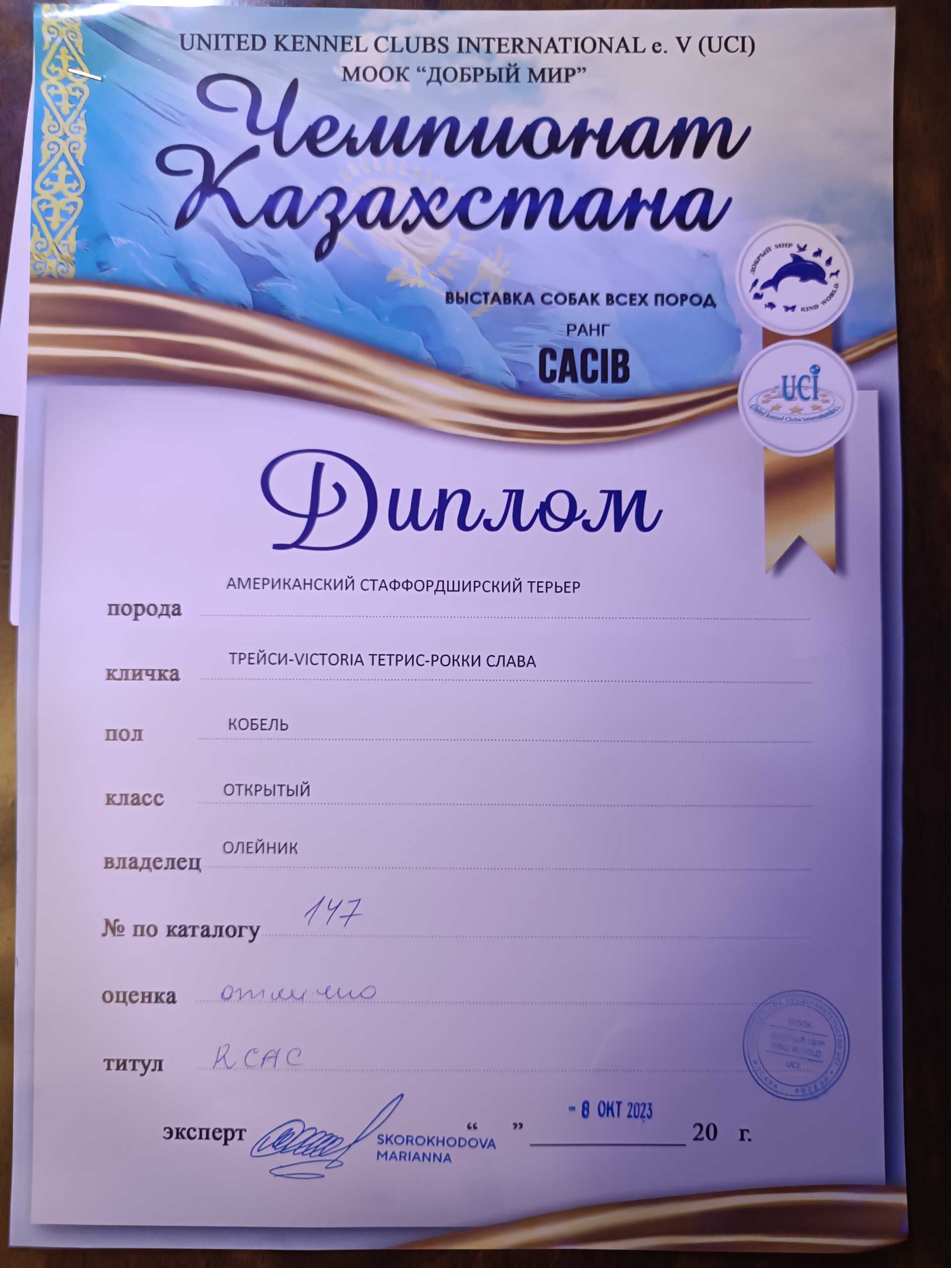 Выставка клуба "Добрый мир", ринг 1, чемпионат Казахстана