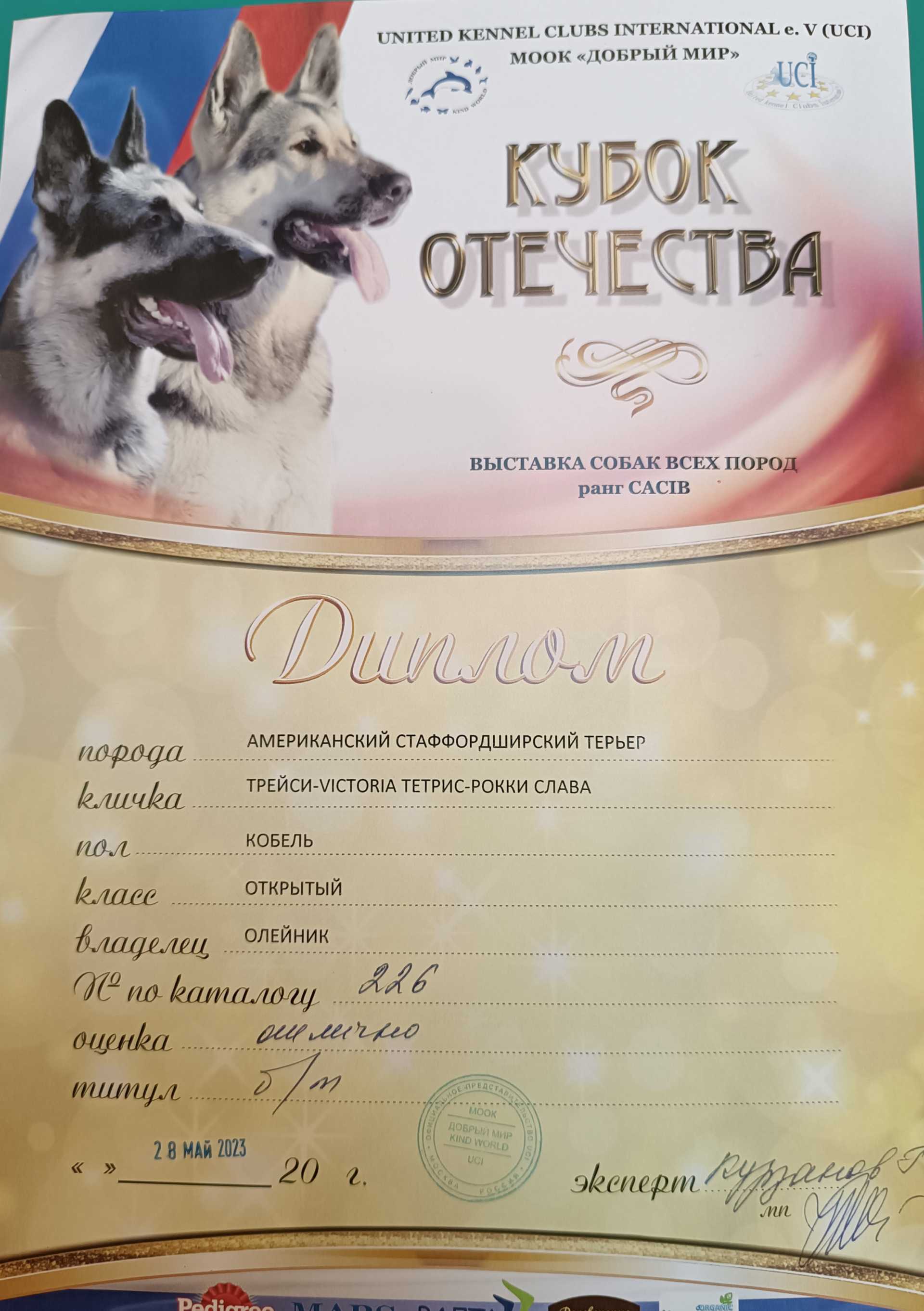 Первый диплом