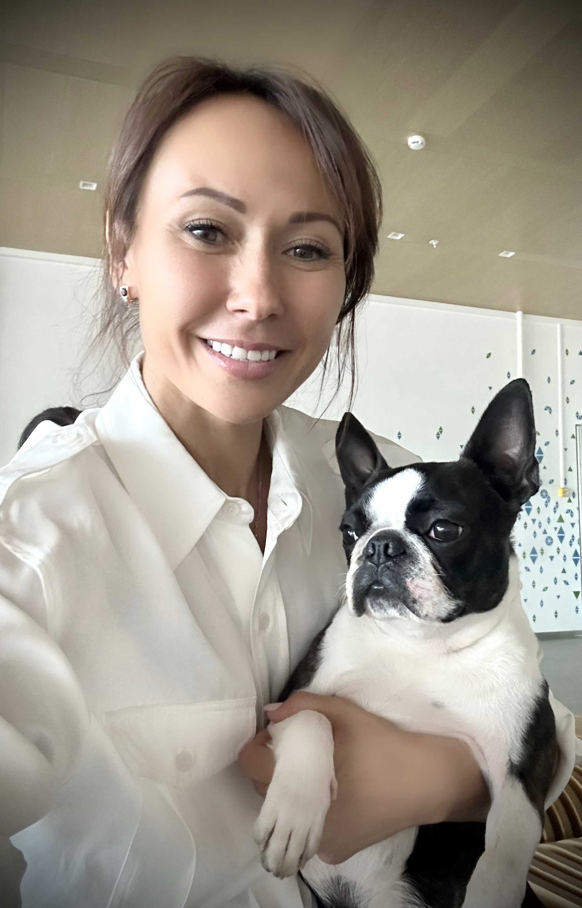 Фото собак породы бостон-терьер - PetsMan