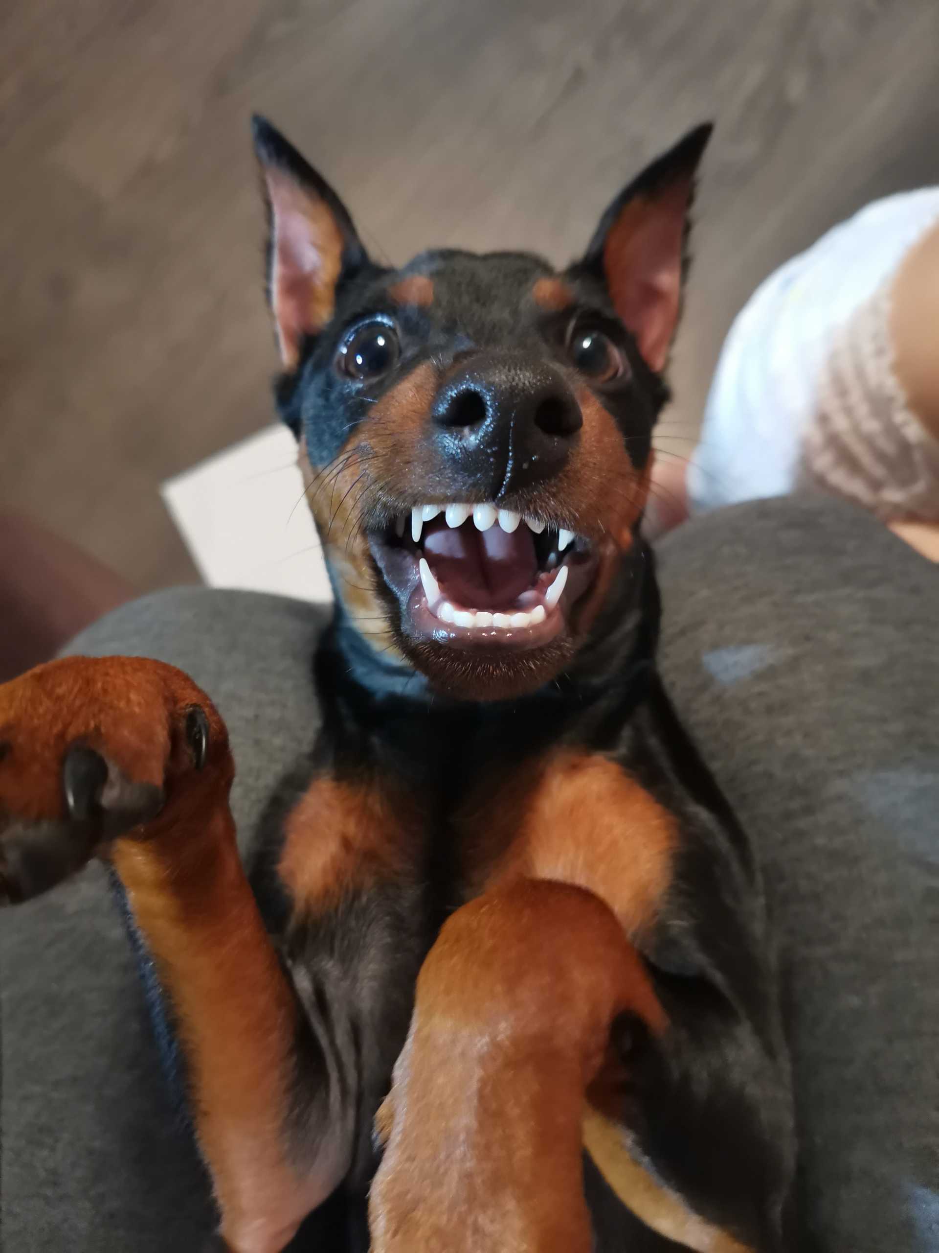 Не зли меня!