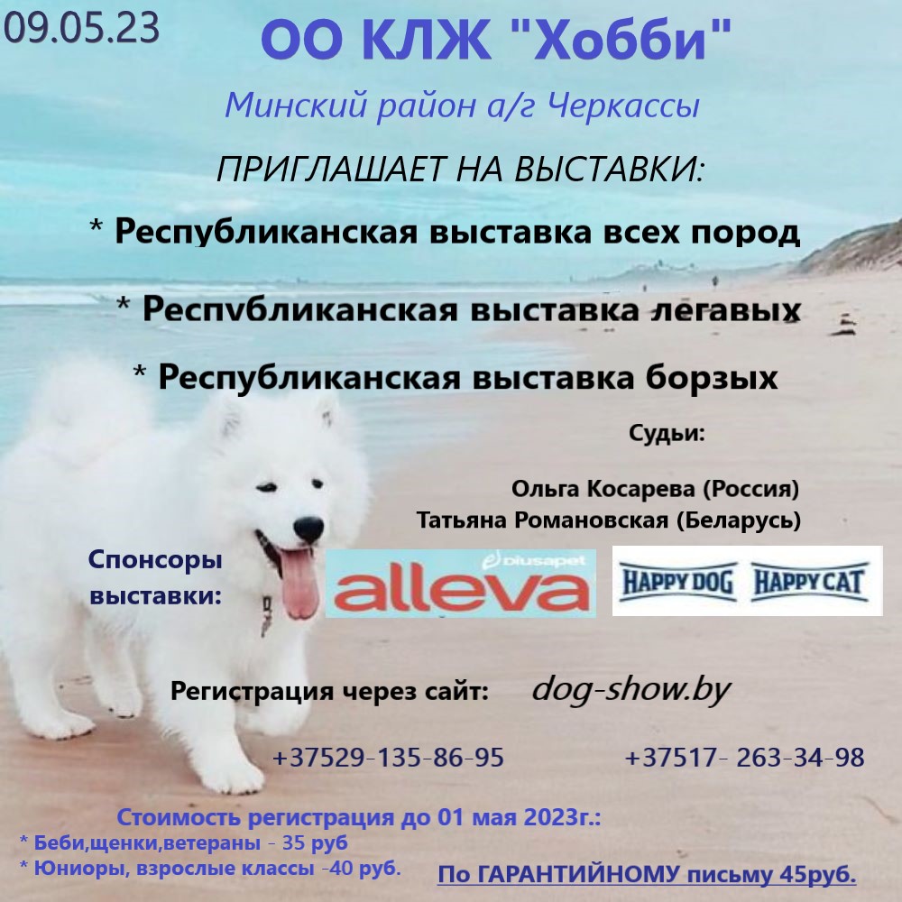 Породы собак для поступления на кинолога. Правила выставки для шпица. Выставка собак 2023. Выставки добрый мир в москве 2024 собаки. На выставке собак.