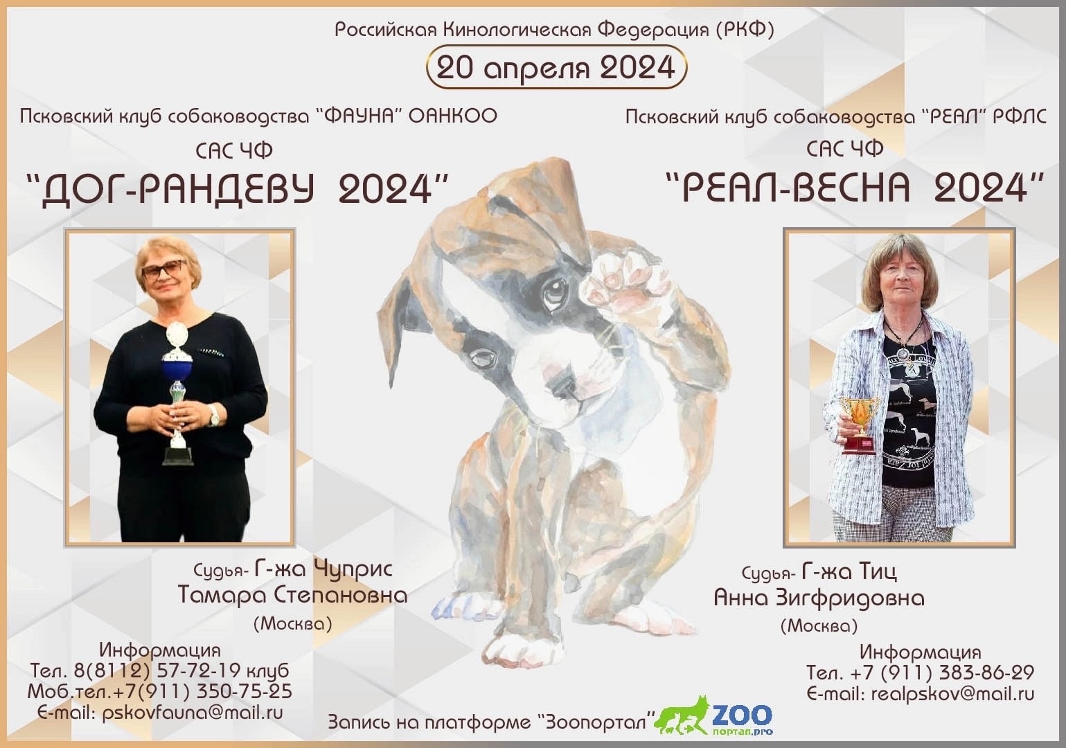 Выставка собак 6 апреля 2025 тверь. Выставка собак 6 апреля 2025 тверь