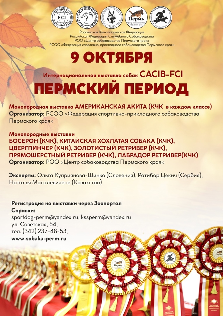 Сас чф что это ранг у собак. Зоопортал пермь выставка собак. Выставка собак в краснодаре в 2023 году фото. Зоопортал выставки собак 2024 краснодар 19 октября. Зооген.