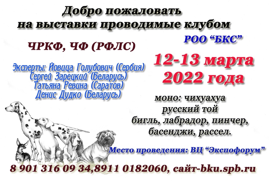 План выставок охотничьих собак на 2023 год