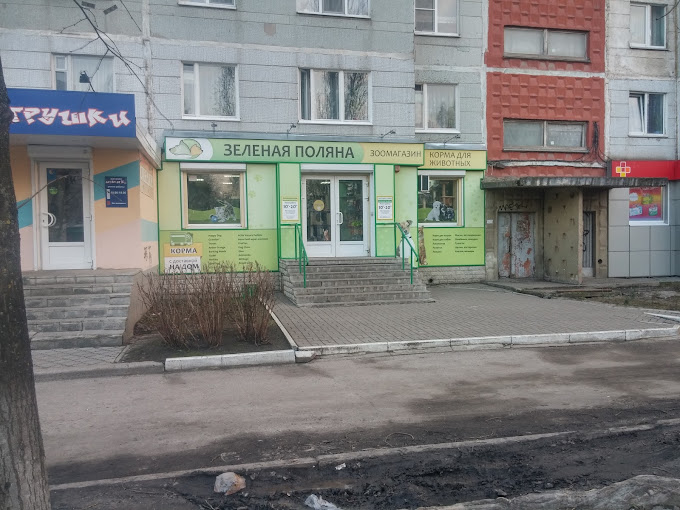 Город зеленая поляна. Ул Генерала Лизюкова 27. Зоомагазин зеленая Поляна. Зелёная Поляна Воронеж зоомагазин. Генерала Лизюкова 29.